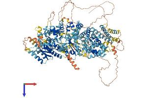 AlphaFold protein structure predicition of Human Recombinant TTC41P Protein, UniprotID Q6P2S7