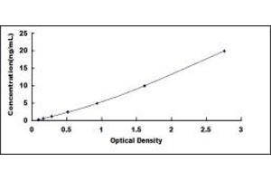 Typical standard curve (DYNC2H1 ELISA 试剂盒)