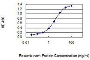 ELISA image for anti-Biglycan (BGN) (AA 1-368) antibody (ABIN560056)
