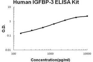 Human IGFBP-3 PicoKine ELISA Kit standard curve (IGFBP3 ELISA 试剂盒)