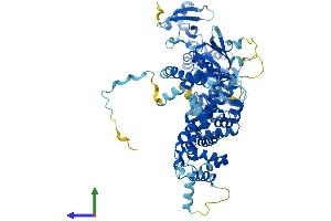 AlphaFold protein structure predicition of Human Recombinant ELMO3 Protein, UniprotID Q96BJ8