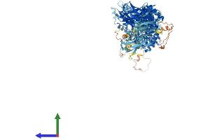 Protein Structure (PS) image for Trafficking Protein Particle Complex 9 (TRAPPC9) (AA 1-1148) protein (His tag) (ABIN7555804)