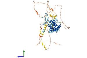 Protein Structure (PS) image for Cdk5 and Abl Enzyme Substrate 2 (CABLES2) (AA 1-478) protein (His tag) (ABIN7552890)