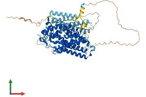 Protein Structure (PS) image for Solute Carrier Family 5 (Sodium/inositol Cotransporter), Member 11 (SLC5A11) (AA 1-675) protein (His tag) (ABIN7555361)