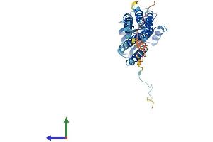 Protein Structure (PS) image for Dual Oxidase Maturation Factor 2 (DUOXA2) (AA 1-320) protein (His tag) (ABIN7560937)