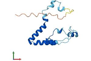AlphaFold protein structure predicition of Human Recombinant POMP Protein, UniprotID Q9Y244