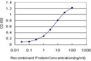 Detection limit for recombinant GST tagged GCM1 is approximately 0. (GCM1 抗体  (AA 108-166))
