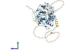 Protein Structure (PS) image for Zinc Finger Protein 697 (ZNF697) (AA 1-545) protein (His tag) (ABIN7545581)