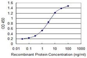 Detection limit for recombinant GST tagged ZNF192 is 0. (ZNF192 抗体  (AA 1-90))