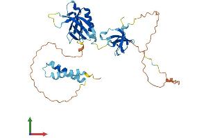 Protein Structure (PS) image for Src Kinase Associated phosphoprotein 1 (SKAP1) (AA 1-359) protein (His tag) (ABIN7546028)