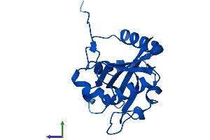 Protein Structure (PS) image for Glucosamine-Phosphate N-Acetyltransferase 1 (GNPNAT1) (AA 1-184) protein (His tag) (ABIN7561621)