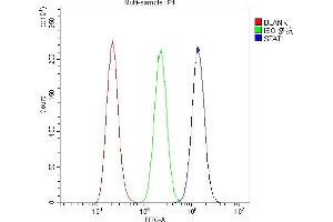 anti-Signal Transducer and Activator of Transcription 1, 91kDa (STAT1) (AA 2-230) antibody