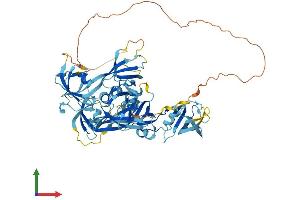 Protein Structure (PS) image for Thymocyte Selection Associated (THEMIS) (AA 1-641) protein (His tag) (ABIN7544346)