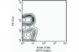The expression of CD8a on rat splenocytes. (CD8 alpha 抗体  (Biotin))