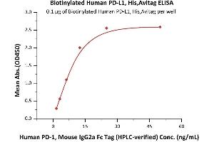 ELISA image for CD274 (PD-L1) (AA 19-134) (Active) protein (His tag,AVI tag,Biotin) (ABIN6950994)