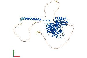 Protein Structure (PS) image for Solute Carrier Family 3 (Activators of Dibasic and Neutral Amino Acid Transport), Member 2 (SLC3A2) (AA 1-630) protein (His tag) (ABIN7551777)