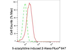 Flow cytometric analysis of 5-azacytidine induced 2 expression in HepG2 cells using 5-azacytidine induced 2 antibody (ABIN7797426), 1:2,000). (Recombinant AZI2 抗体)