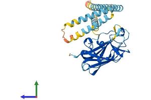 Protein Structure (PS) image for Sad1 and UNC84 Domain Containing 3 (SUN3) (AA 1-320) protein (His tag) (ABIN7557528)