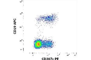 Flow cytometry multicolor surface staining of human lymphocytes stained using anti-human CD307c (H5) PE antibody (10 μL reagent / 100 μL of peripheral whole blood) and anti-human CD19 (LT19) APC antibody (10 μL reagent / 100 μL of peripheral whole blood). (FCRL3 抗体  (PE))
