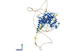Protein Structure (PS) image for rho GTPase Activating Protein 28 (ARHGAP28) (AA 1-729) protein (His tag) (ABIN7551412)