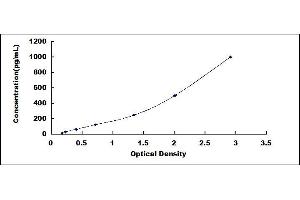 Typical standard curve