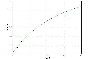 Alkaline Sphingomyelinase (Alk-Smase) ELISA Kit