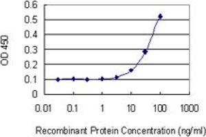 Detection limit for recombinant GST tagged NUP43 is 3 ng/ml as a capture antibody. (NUP43 抗体  (AA 281-380))