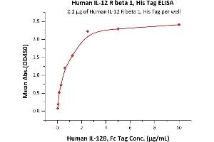 Immobilized Human IL-12 R beta 1, His Tag (ABIN6731331,ABIN6809932) at 2 μg/mL (100 μL/well) can bind Human IL-12B, Fc Tag (ABIN2181332,ABIN3071756,ABIN6810015) with a linear range of 0. (IL12RB1 Protein (AA 24-540) (His tag))