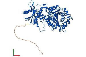 Protein Structure (PS) image for Cytosol Aminopeptidase (LAP3) (AA 1-519) protein (His tag) (ABIN7560493)