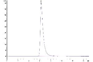 Size-exclusion chromatography-High Pressure Liquid Chromatography (SEC-HPLC) image for Fibroblast Activation Protein, alpha (FAP) (AA 26-760) protein (Fc Tag) (ABIN7274584)