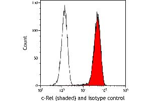 Flow Cytometry (FACS) image for anti-REL proto-oncogene (c-Rel) (C-Term) antibody (ABIN7795772) (Recombinant c-Rel 抗体  (C-Term))