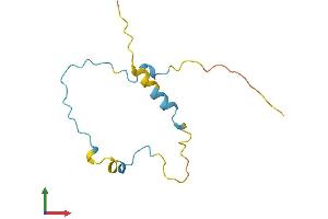 Protein Structure (PS) image for Limb-Bud and Heart (LBH) (AA 1-105) protein (His tag) (ABIN7560704)