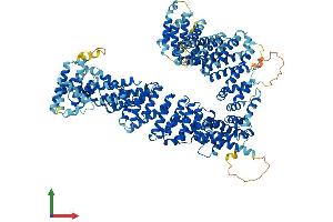 Protein Structure (PS) image for Non-SMC Condensin II Complex, Subunit G2 (NCAPG2) (AA 1-1143) protein (His tag) (ABIN7553523)