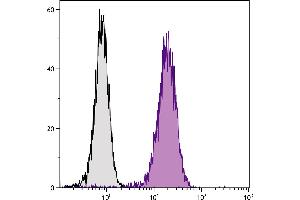 Human T cell leukemia cell line Jurkat was intracellularly stained with Mouse Anti-Human CD107b-UNLB. (LAMP2 抗体  (Biotin))