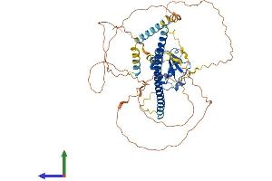 Protein Structure (PS) image for Heat shock factor protein 2 (HSF2) (AA 1-535) protein (His tag) (ABIN7563203)