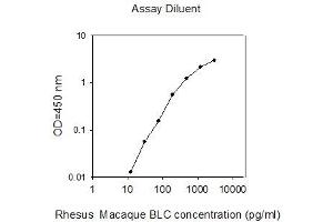 ELISA image for Chemokine (C-X-C Motif) Ligand 13 (CXCL13) ELISA Kit (ABIN2747988) (CXCL13 ELISA 试剂盒)