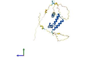 Protein Structure (PS) image for Stem-Loop Binding Protein (SLBP) (AA 1-270) protein (His tag) (ABIN7546130)