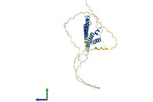AlphaFold protein structure predicition of Human Recombinant HEY1 Protein, UniprotID Q9Y5J3