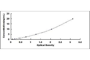 Typical standard curve