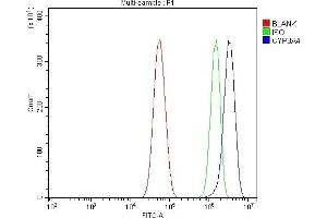 Flow Cytometry analysis of U87 cells using anti-Cytochrome P450 3A4/CYP3A4 antibody (ABIN7601737).