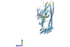 Protein Structure (PS) image for SMC6 Structural Maintenance of Chromosomes 6-Like 1 (SMC6) (AA 1-1097) protein (His tag) (ABIN7564866)