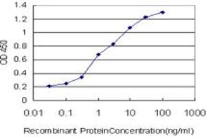 Detection limit for recombinant GST tagged MLLT1 is approximately 0. (MLLT1 抗体  (AA 472-559))