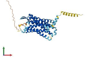 Protein Structure (PS) image for G Protein-Coupled Receptor 77 (GPR77) (AA 1-344) protein (His tag) (ABIN7558954)