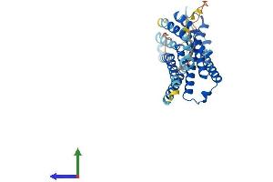 Protein Structure (PS) image for G Protein-Coupled Receptor 81 (GPR81) (AA 1-343) protein (His tag) (ABIN7559096)