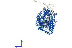 Protein Structure (PS) image for Endothelin-Converting Enzyme 1 (ECE1) (AA 1-770) protein (His tag) (ABIN7553774)
