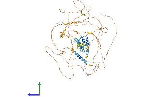 Protein Structure (PS) image for Serine/arginine Repetitive Matrix 1 (SRRM1) (AA 1-904) protein (His tag) (ABIN7555593)