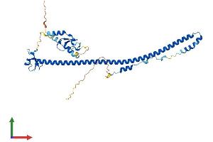 Protein Structure (PS) image for Tripartite Motif Containing 54 (TRIM54) (AA 1-366) protein (His tag) (ABIN7561443)