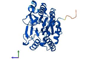 Protein Structure (PS) image for Calcineurin-Like phosphoesterase Domain Containing 1 (Cpped1) (AA 1-312) protein (His tag) (ABIN7558494)