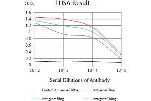 Black line: Control Antigen (100 ng),Purple line: Antigen (10 ng), Blue line: Antigen (50 ng), Red line:Antigen (100 ng) (CTLA4 抗体  (AA 36-161))