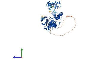 Protein Structure (PS) image for Tripartite Motif Containing 25 (TRIM25) (AA 1-634) protein (His tag) (ABIN7563918)
